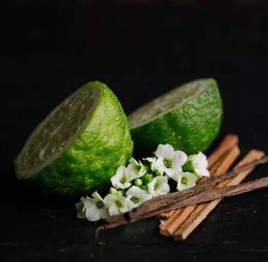 Viori Emerald Meadows Shampoo & Conditioner Bars Full Size Limited Edition Set