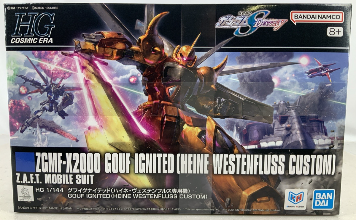 BANDAI HG Gouf Ingnited ZGMF X2000 Heine Westenfluss model kit DISTRESSED BOX0