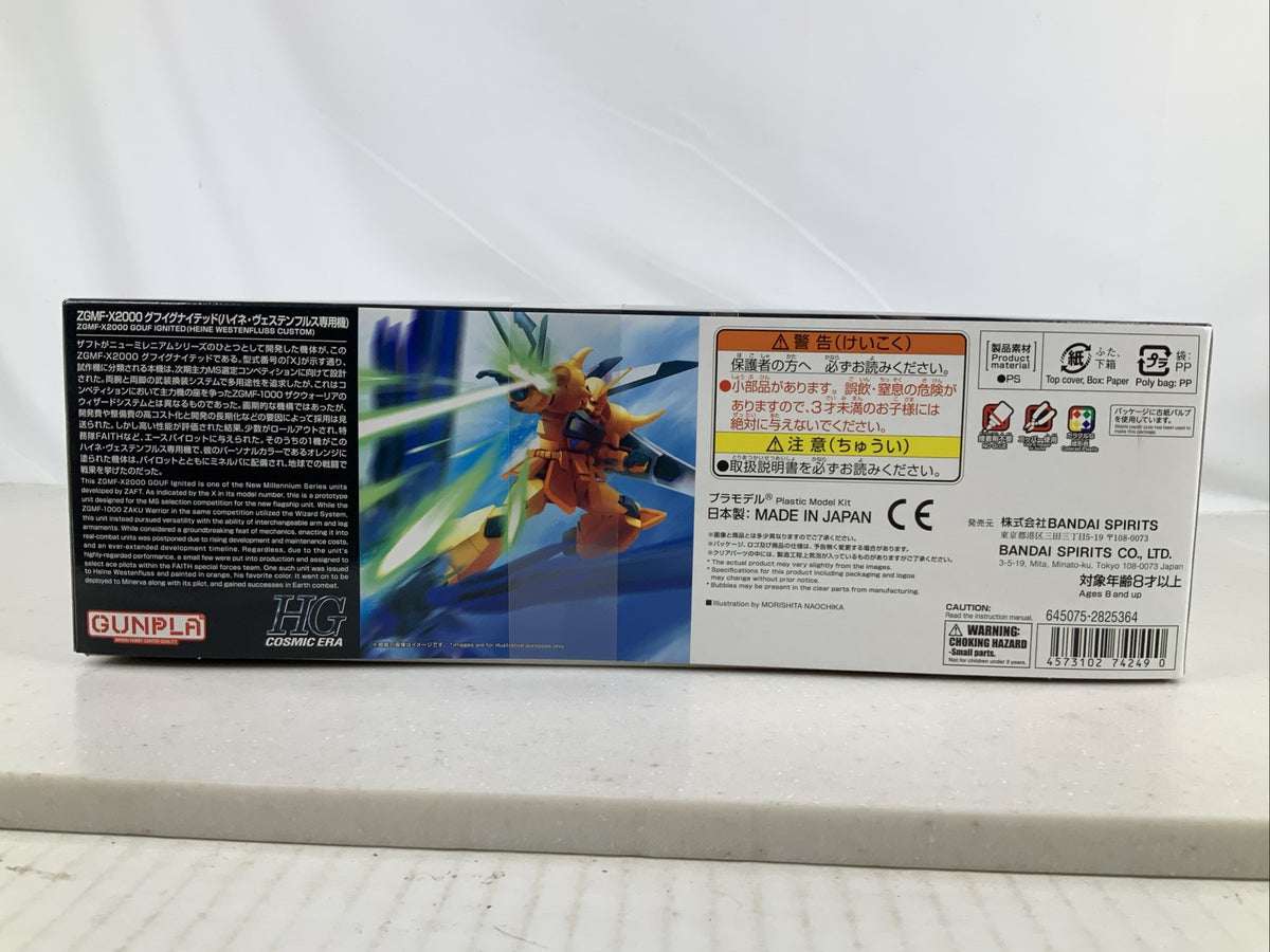 BANDAI HG Gouf Ingnited ZGMF X2000 Heine Westenfluss model kit DISTRESSED BOX2