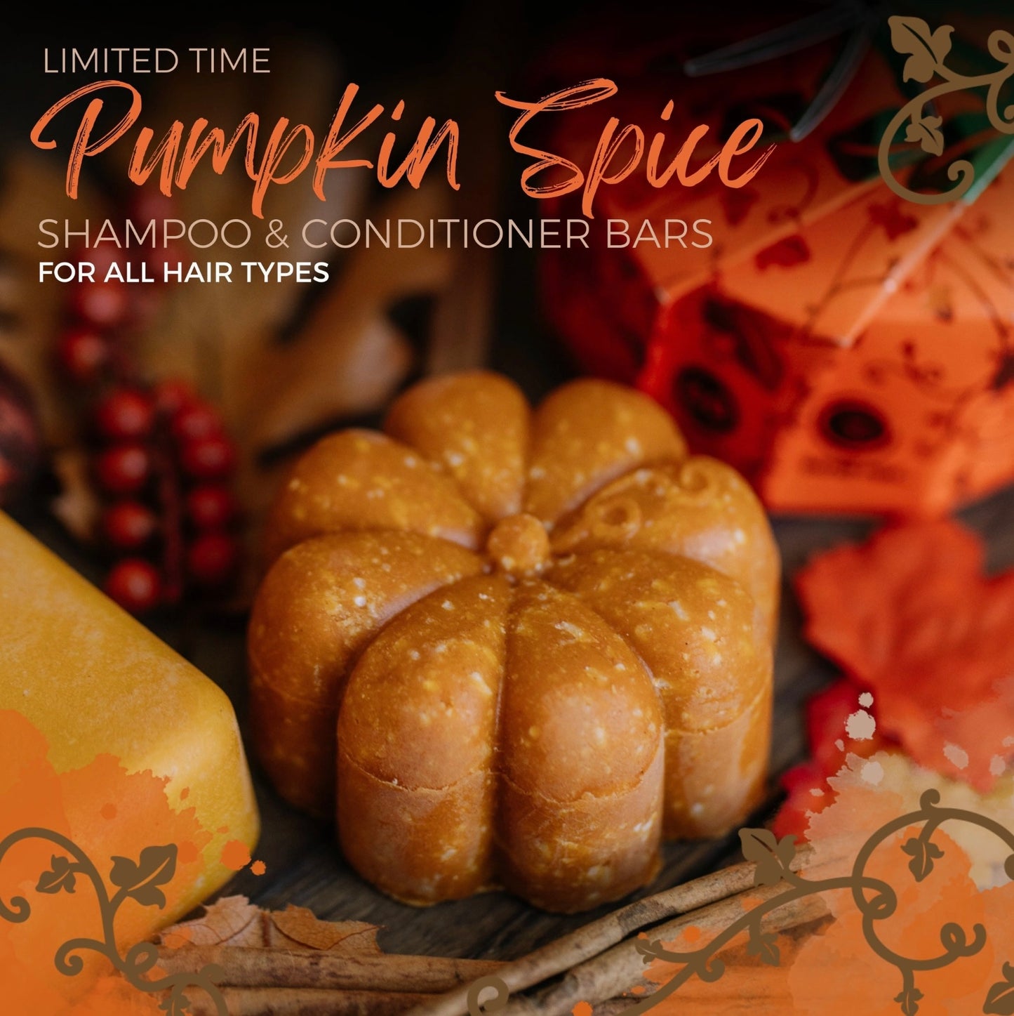 Viori Pumpkin Spice Shampoo & Conditioner Bar Set limited edition