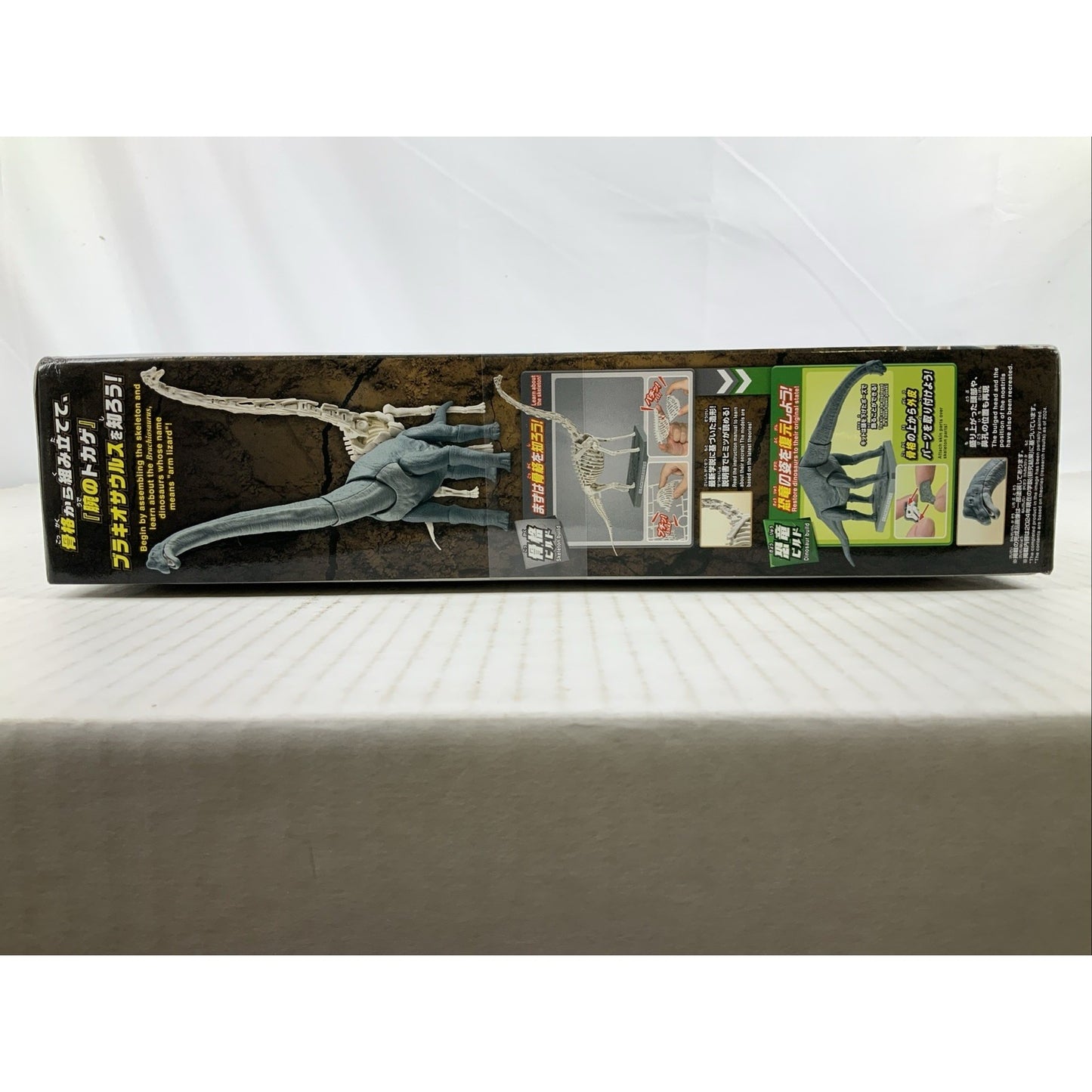 BANDAI Plannosaurus Brachiosaurus dinosaur model kit DISTRESSED BOX