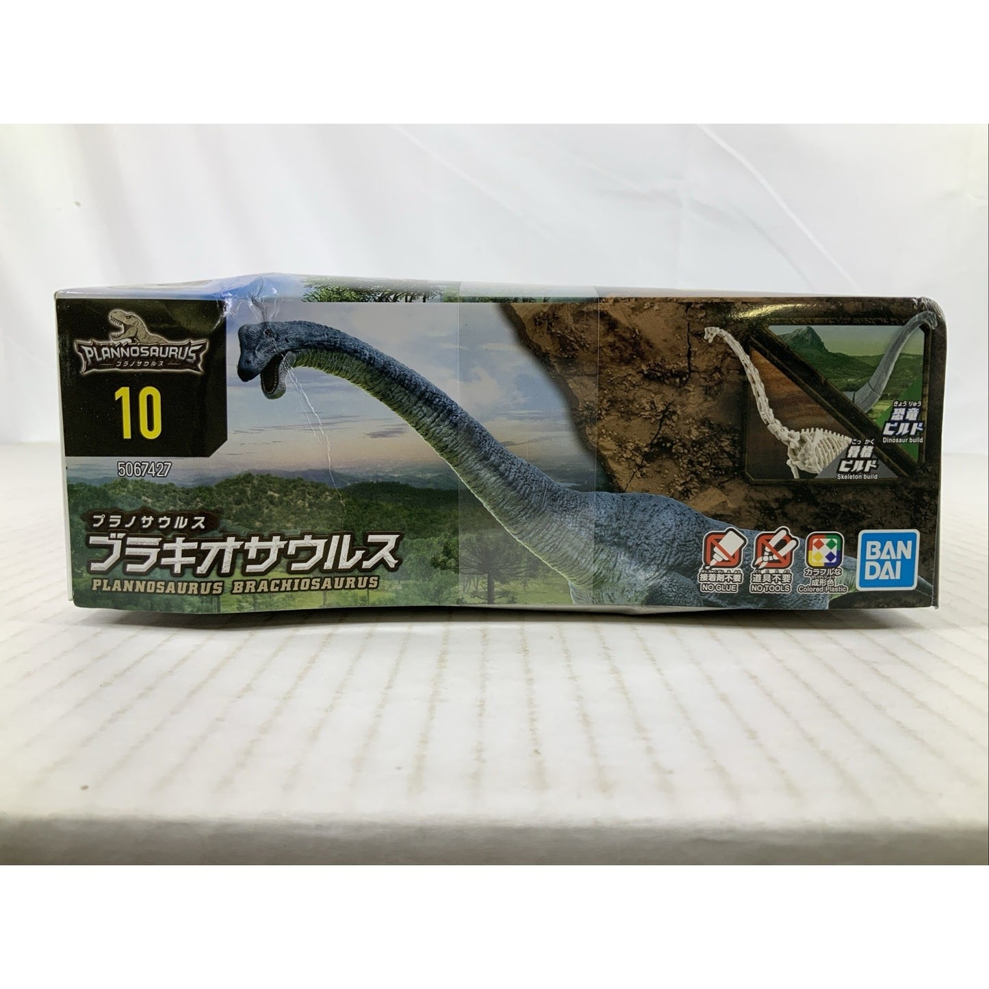 BANDAI Plannosaurus Brachiosaurus dinosaur model kit DISTRESSED BOX