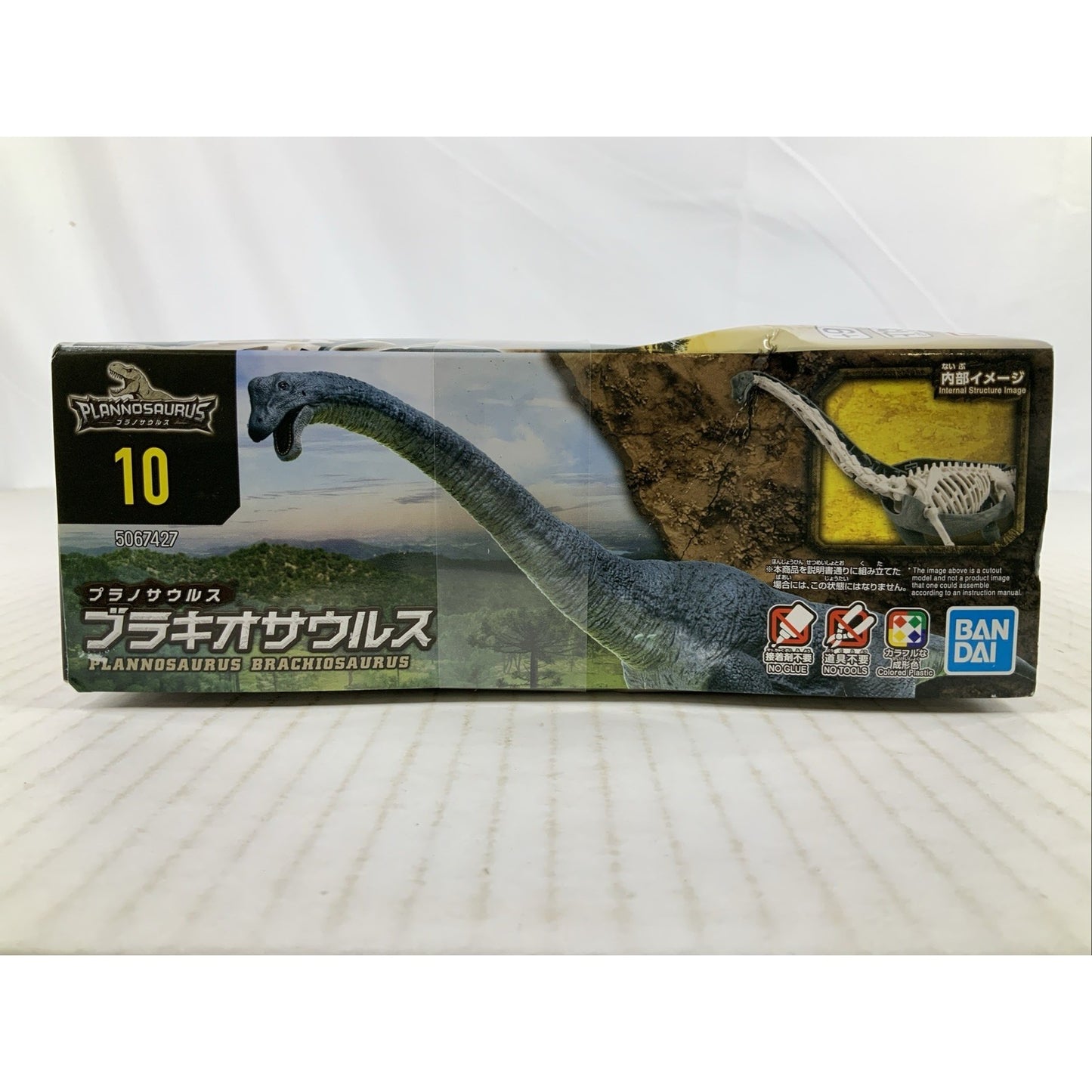 BANDAI Plannosaurus Brachiosaurus dinosaur model kit DISTRESSED BOX