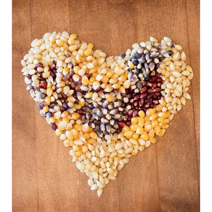 Amish Country Popcorn 10/4oz. Variety Pack Popcorn Stocking Stuffer Gift Set Box